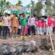 Desa Awis Bangunkan Lahan Tidur Jadi Kebun Jagung Hibrida